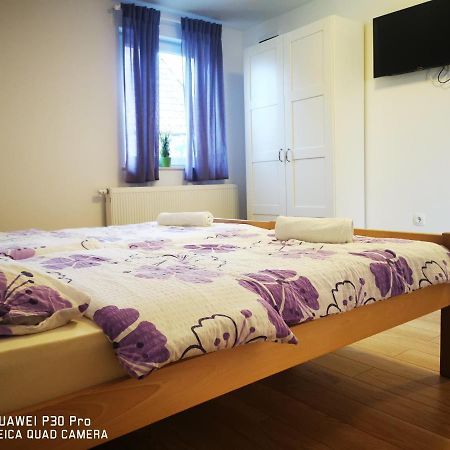 Vila Julija - Apartment & Rooms Otočac Extérieur photo