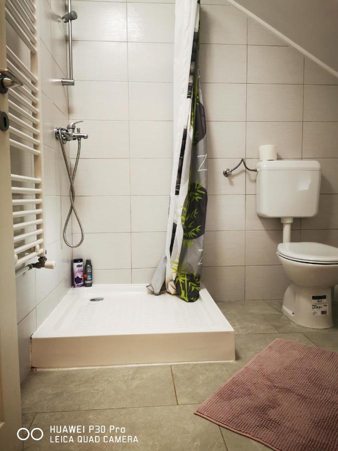 Vila Julija - Apartment & Rooms Otočac Extérieur photo