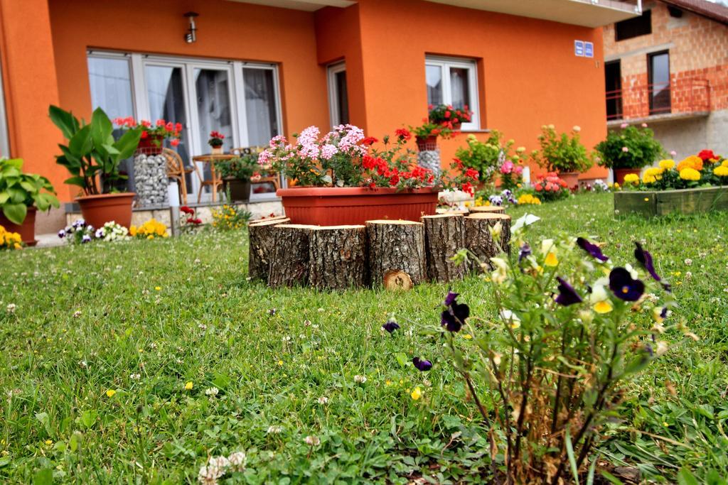 Vila Julija - Apartment & Rooms Otočac Extérieur photo