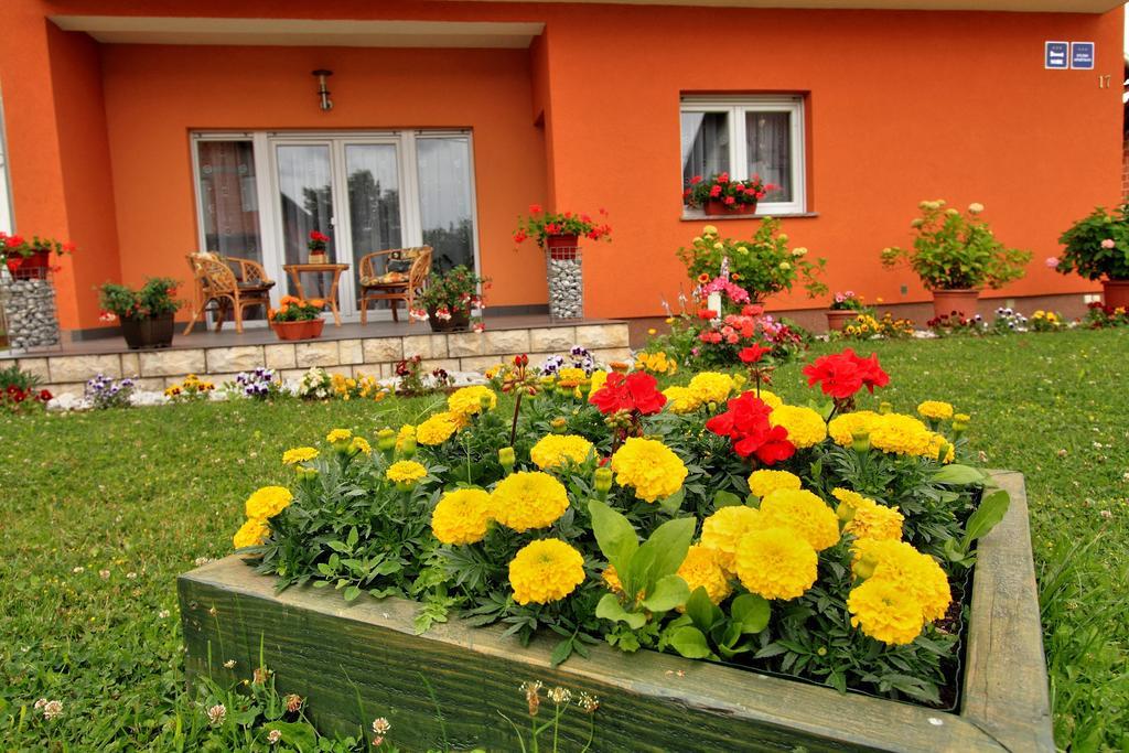 Vila Julija - Apartment & Rooms Otočac Extérieur photo